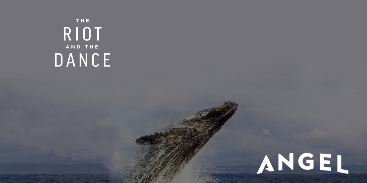 Watch The Riot and the Dance | The Riot and the Dance: Water on Angel