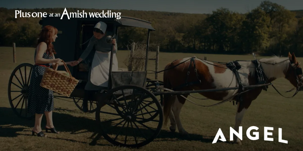 princess polly baby blue dress Amish Wedding Dress. What do Amish Woman wear at weddings? Why don't the  Amish bride wear white dresses. What goes on at an Amish Wedding? Amish  Wedding routines. What is a table waiter at an Amish