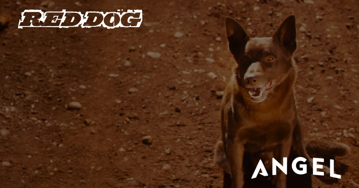 Red Dog Bonus Content | Behind the Scenes, Extras, & Prev...