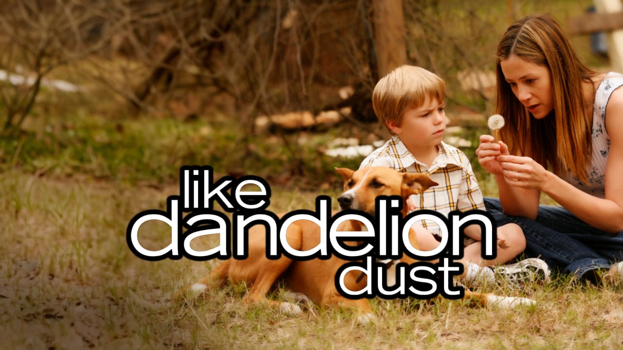 Like Dandelion Dust
