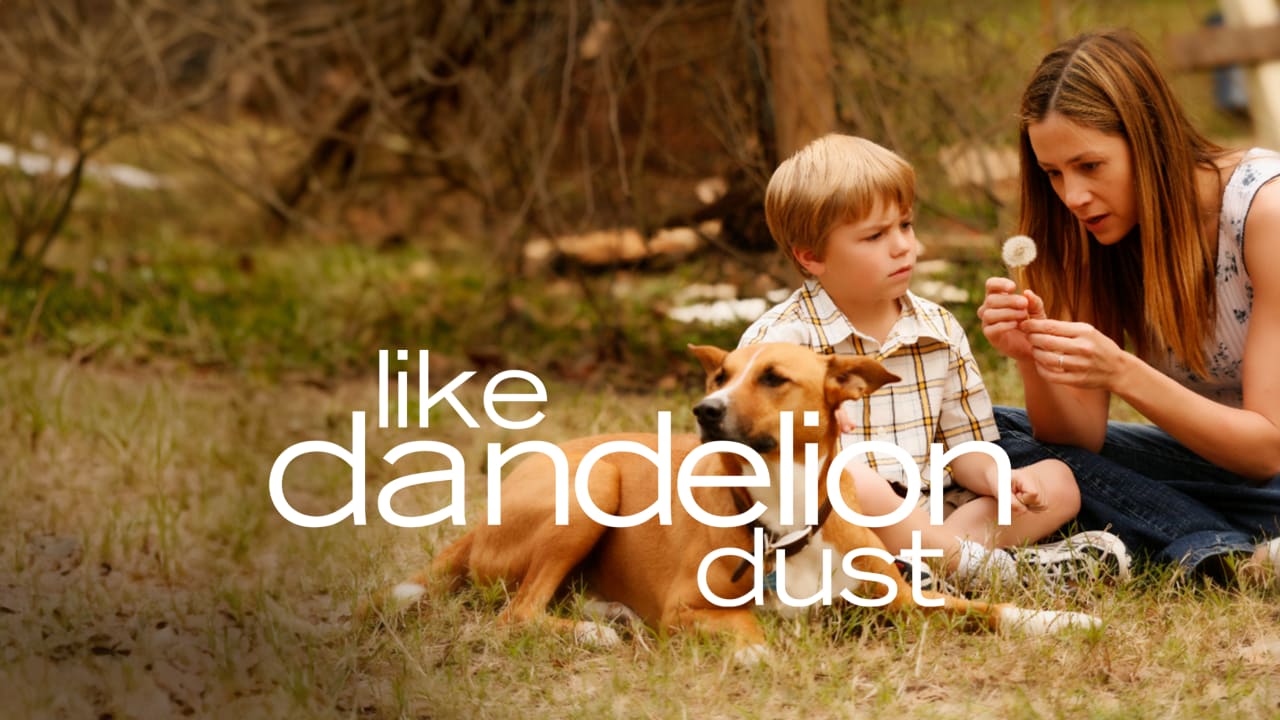 Like Dandelion Dust