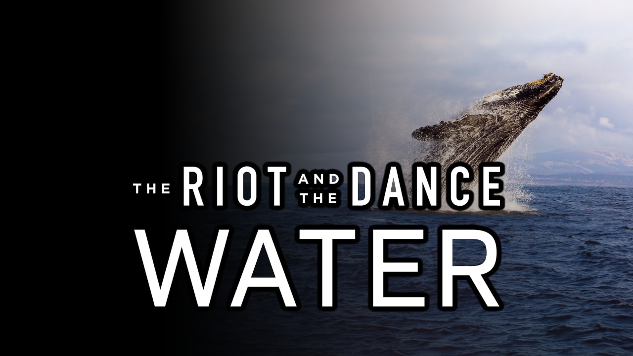 Riot
