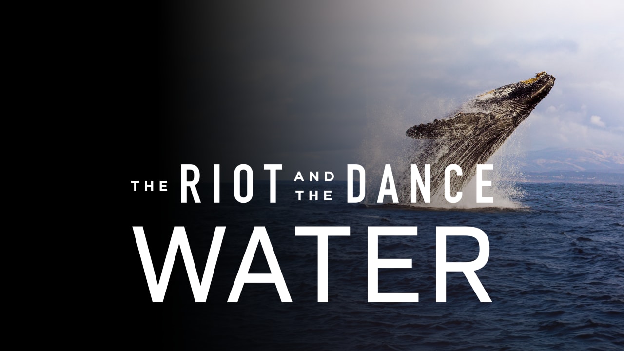 Riot