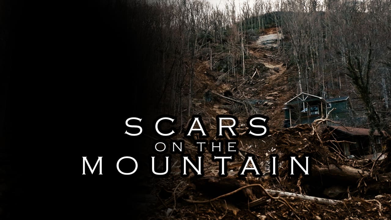 Scars on the Mountain