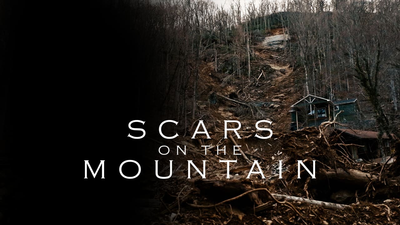 Scars on the Mountain
