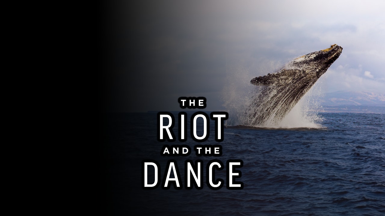 Riot and the Dance Series