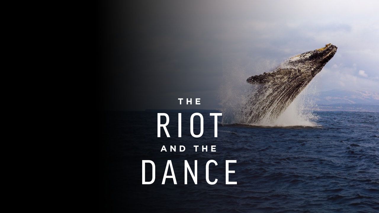 Riot and the Dance Series