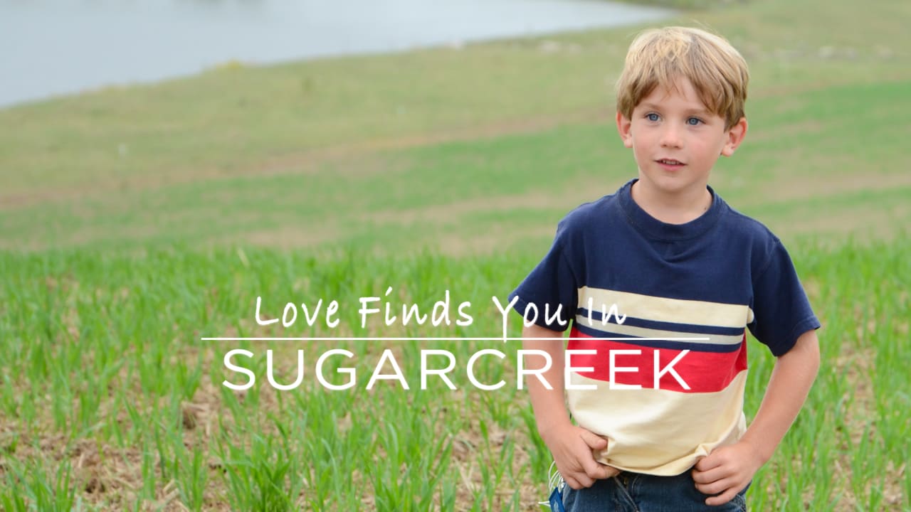 Love Finds You in Sugarcreek