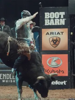 Official Trailer 2 null