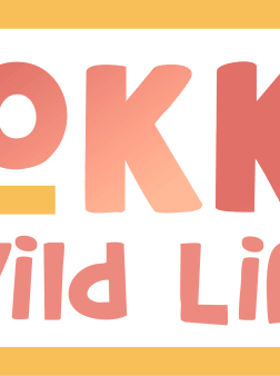 Quokka's Wild Life Logo null