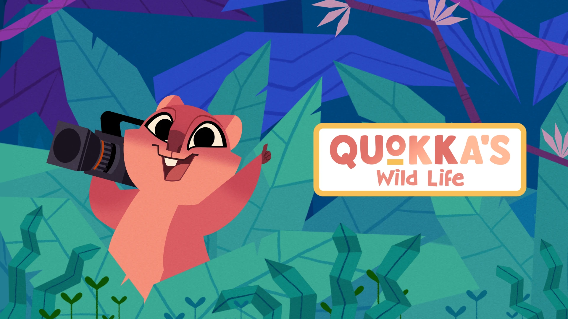 Quokka's Wild Life现场直播