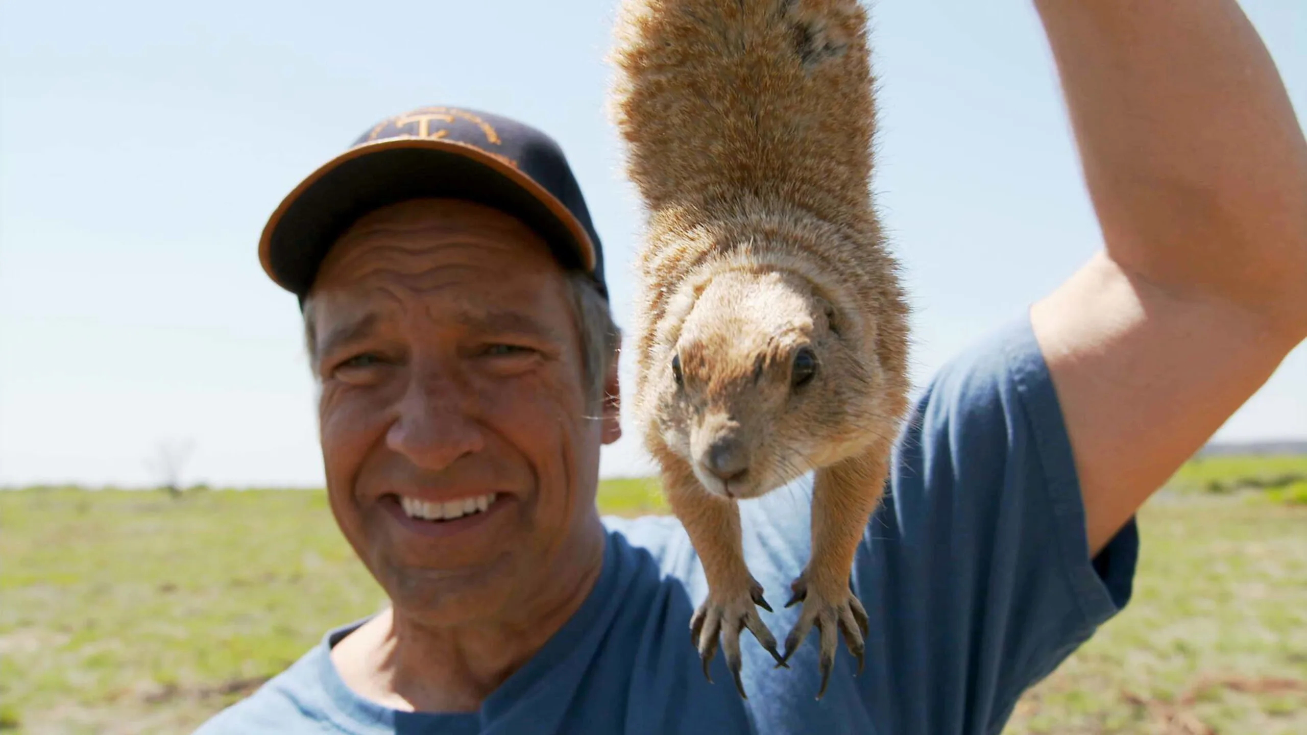 Prairie Dog