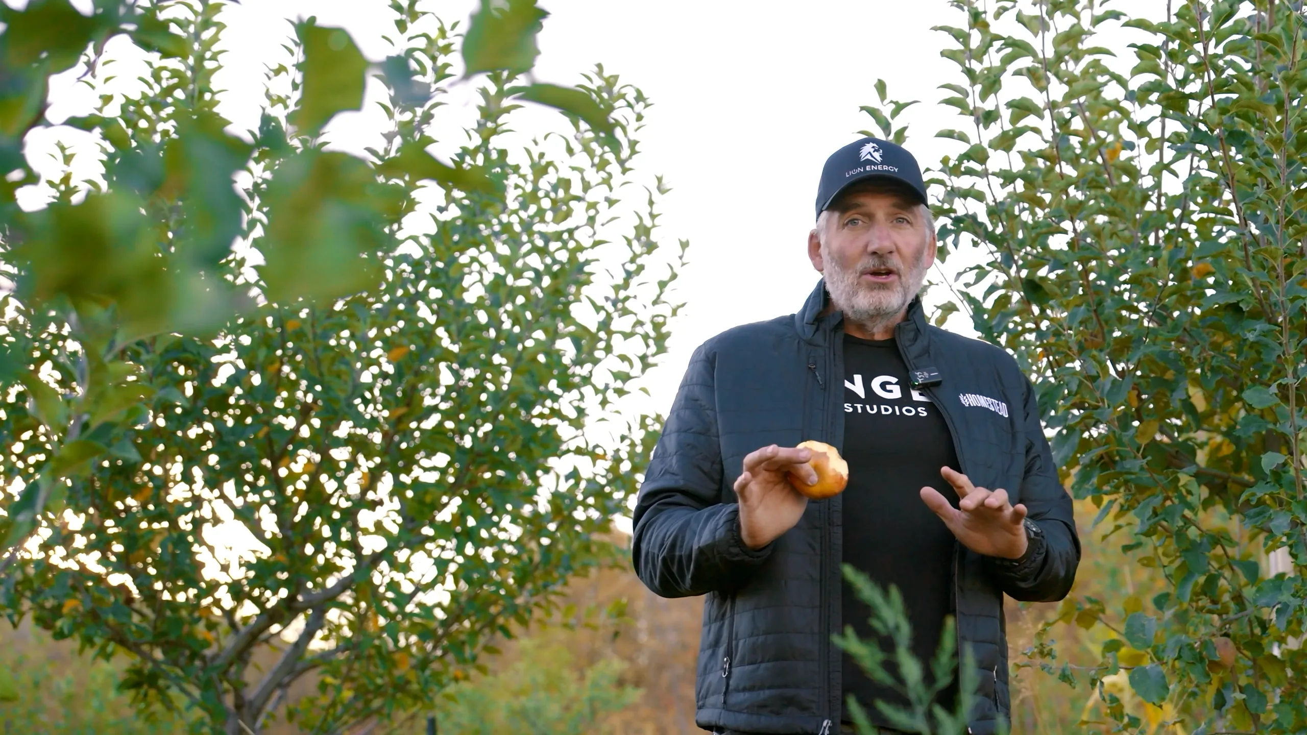 A Forest of Food Pt 1: Sustainability
