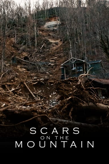 Scars on the Mountain