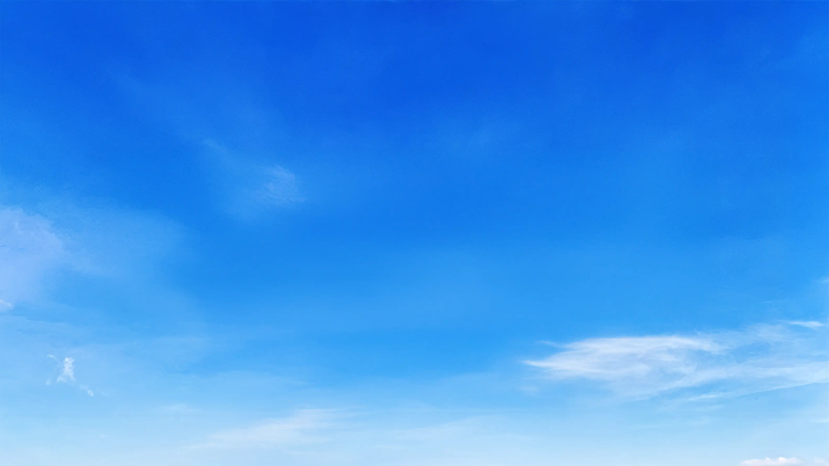 No Fees Background