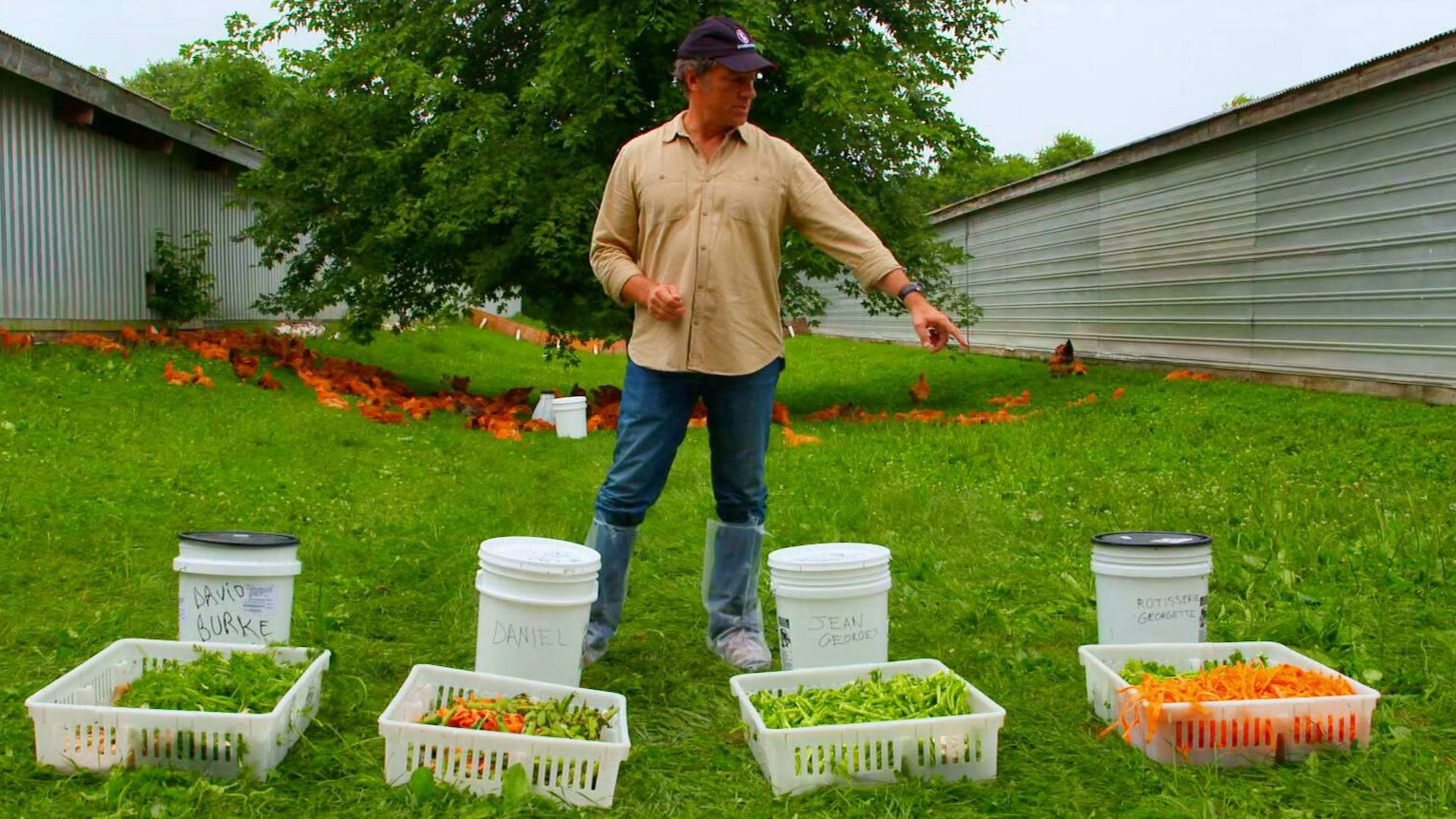 Mennonite Chicken