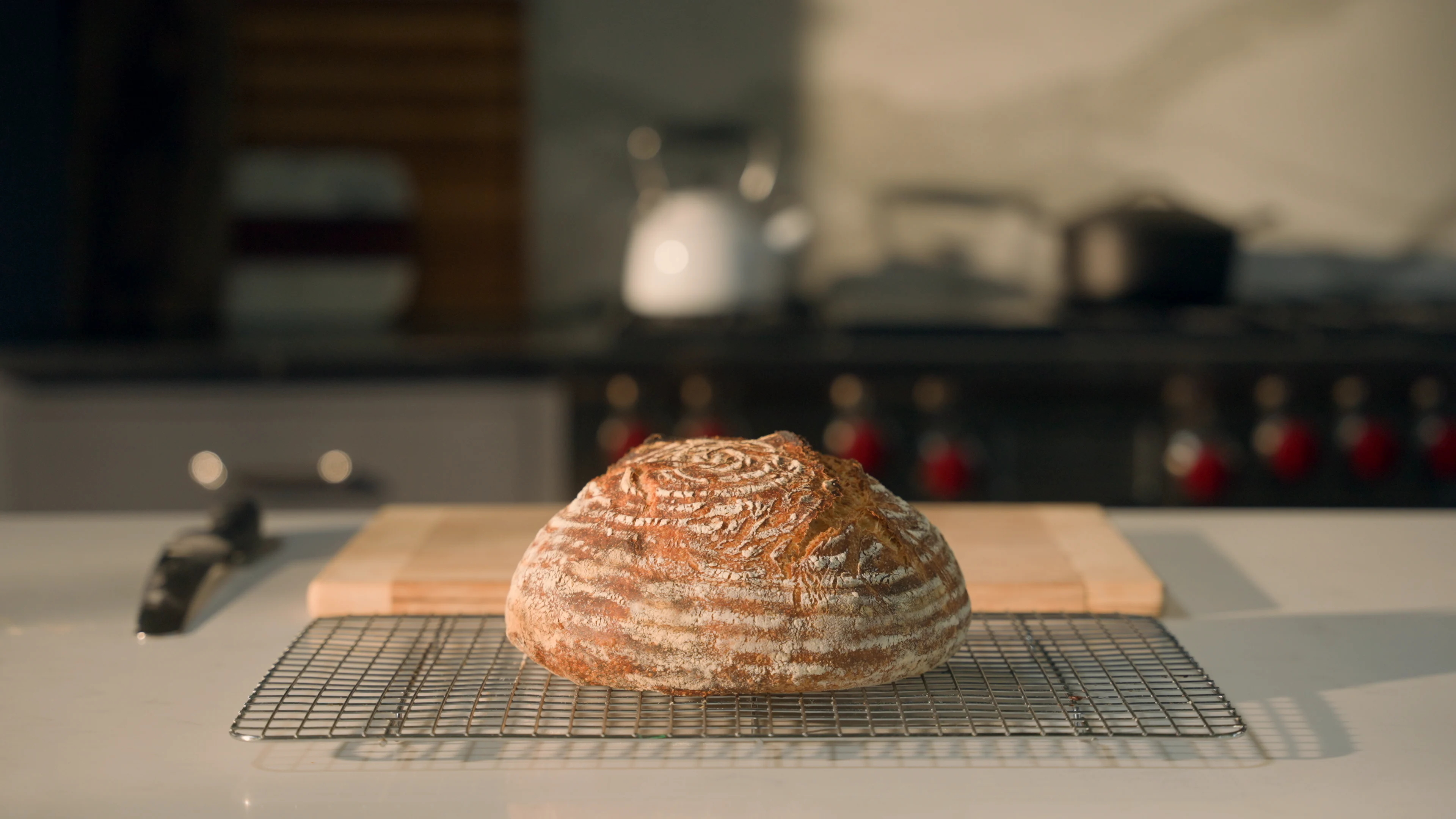 Bread and Life