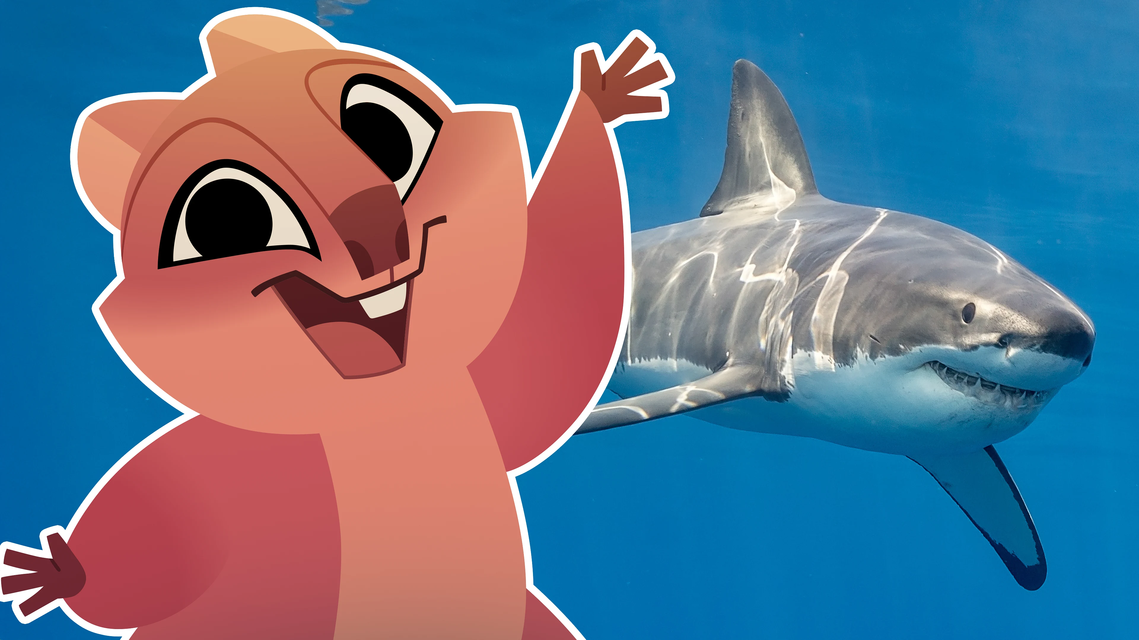 Sharks