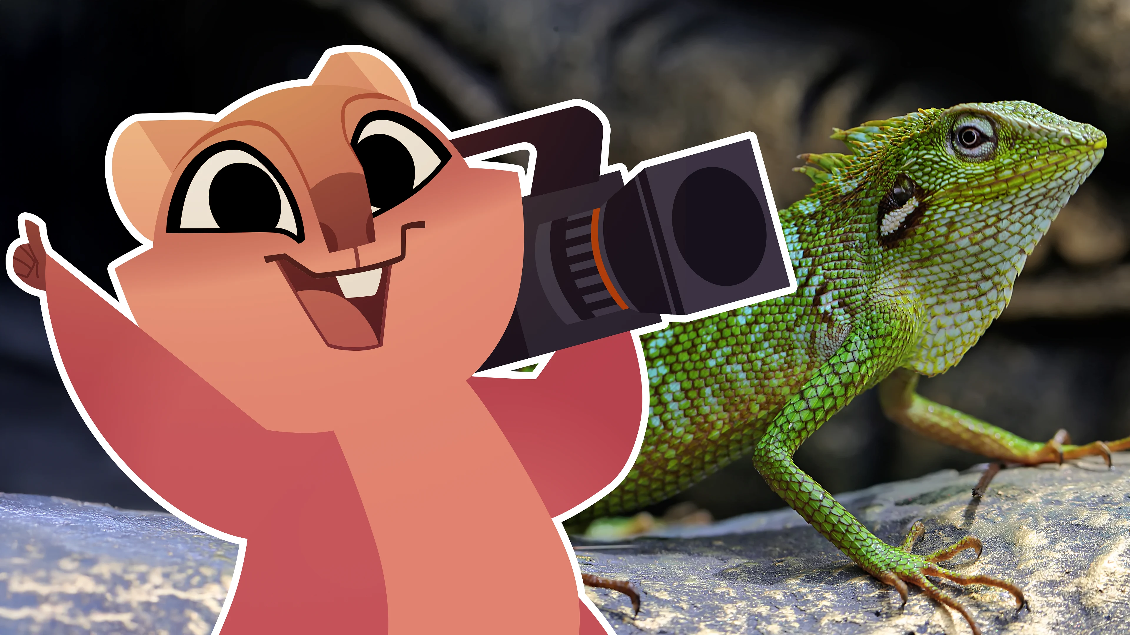 Lizards