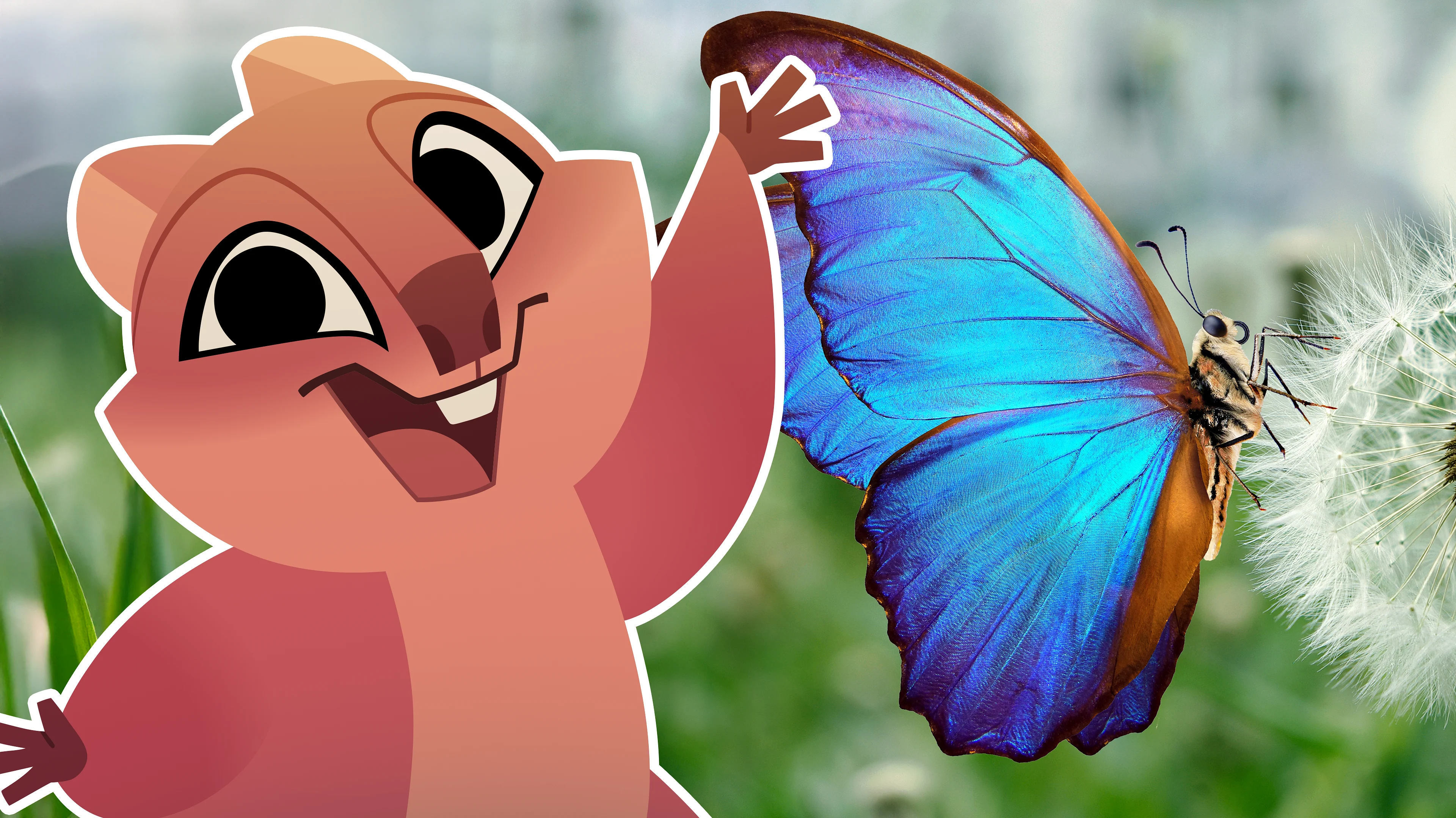 Butterflies and Moths