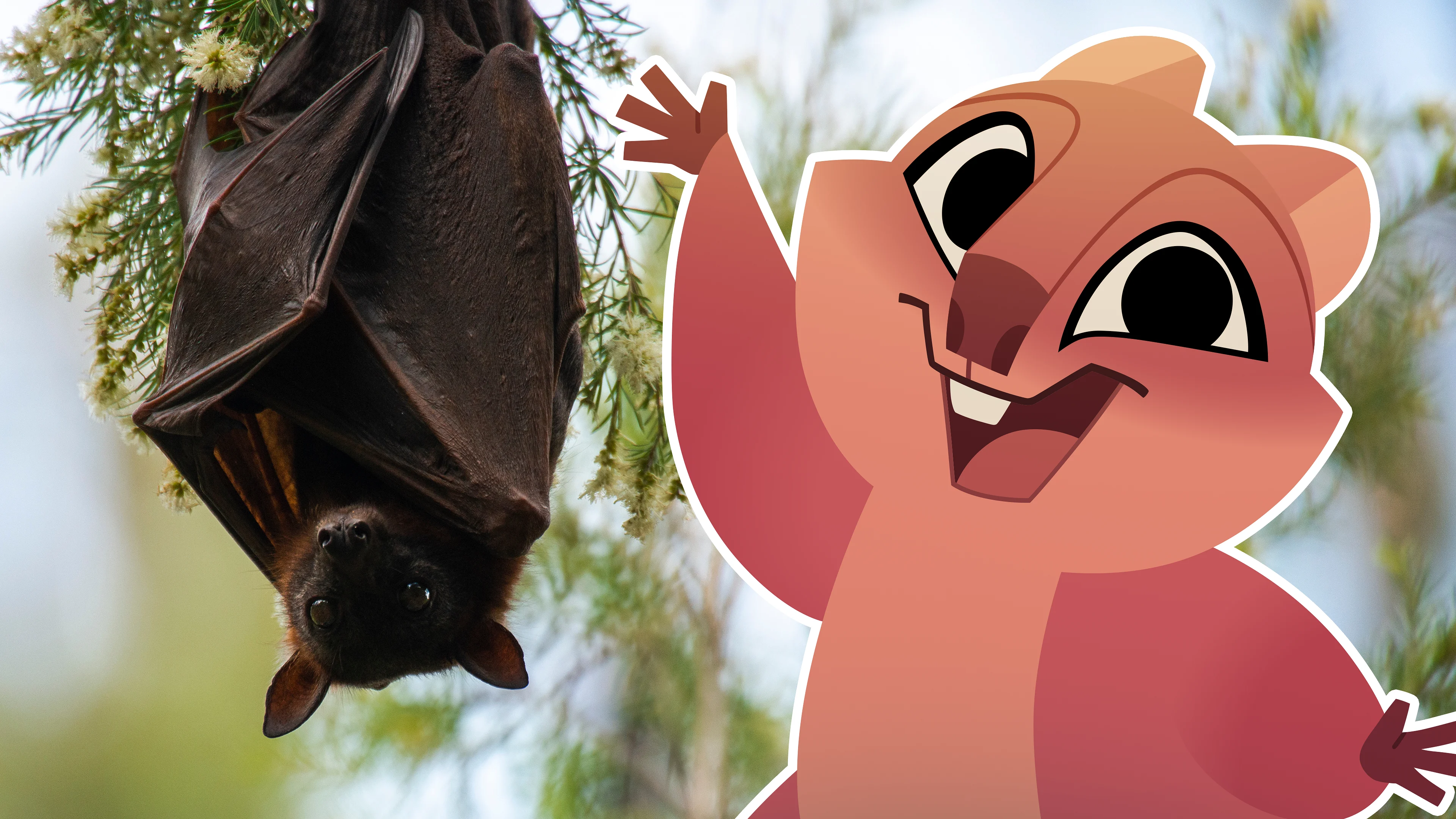 Bats