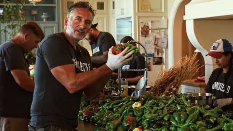 Salsa Shenanigans: Spicy Survival