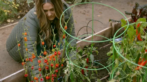 Growing in the Garden