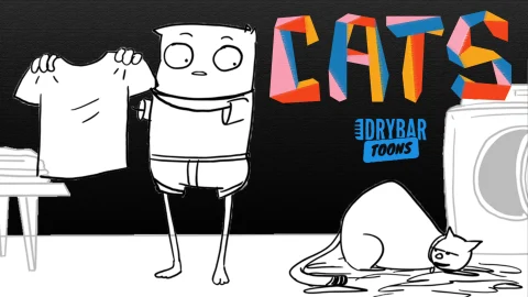 Zoltan Kaszas - Cats