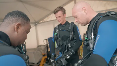 Mergulhos e Motivações