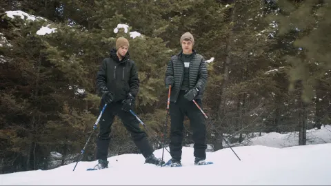 Rastreando Animais na Neve