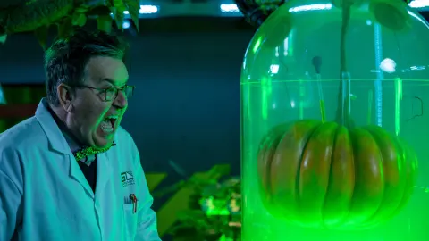 GROW Official Trailer