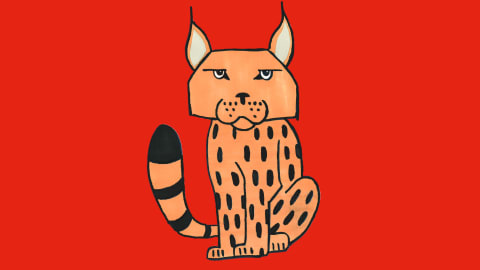 How to Draw a Lynx