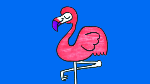 How to Draw a Flamingo