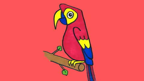 How to Draw a Parrot