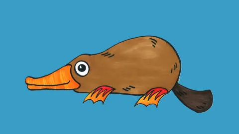 How to Draw a Platypus