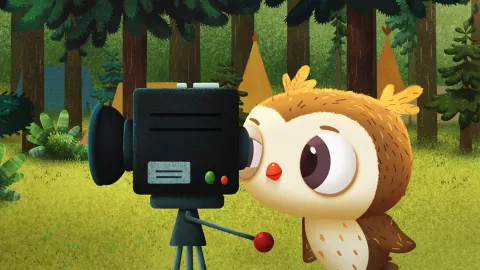 Forest Camp: The Film!