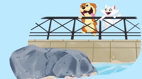 Let's Visit Plymouth Rock