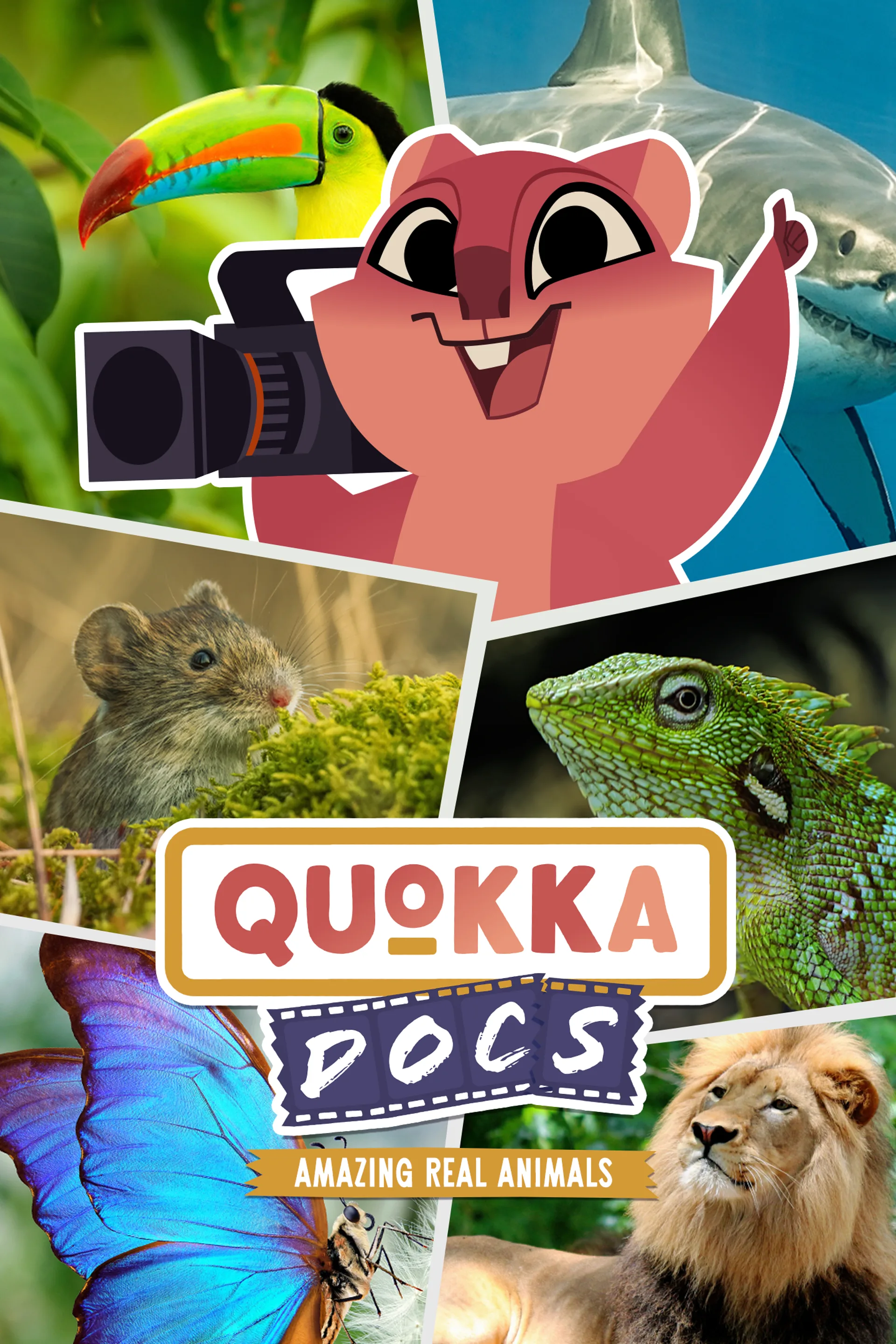 Quokka Docs: Amazing Real Animals
