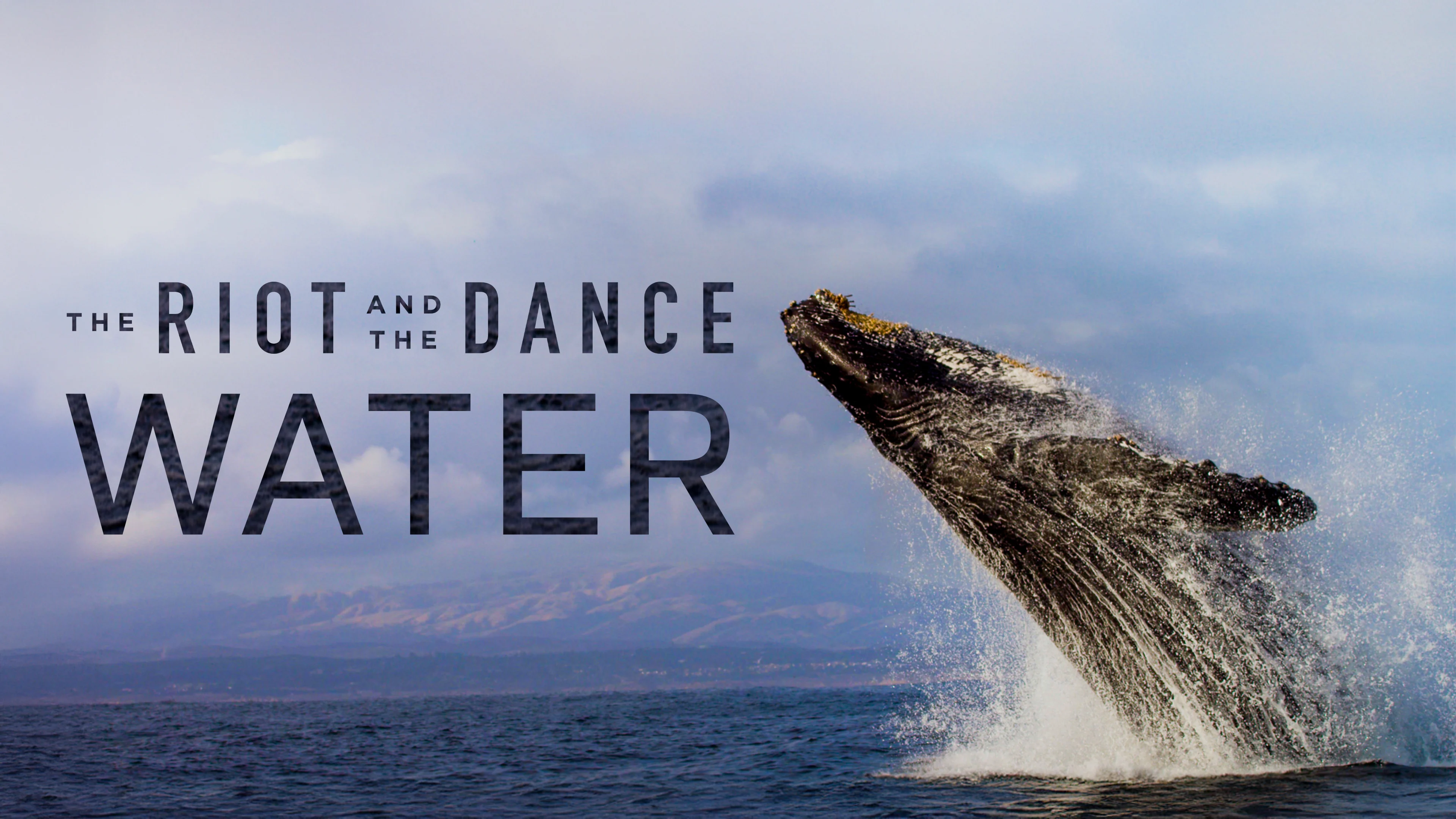 The Riot and the Dance: Water poster