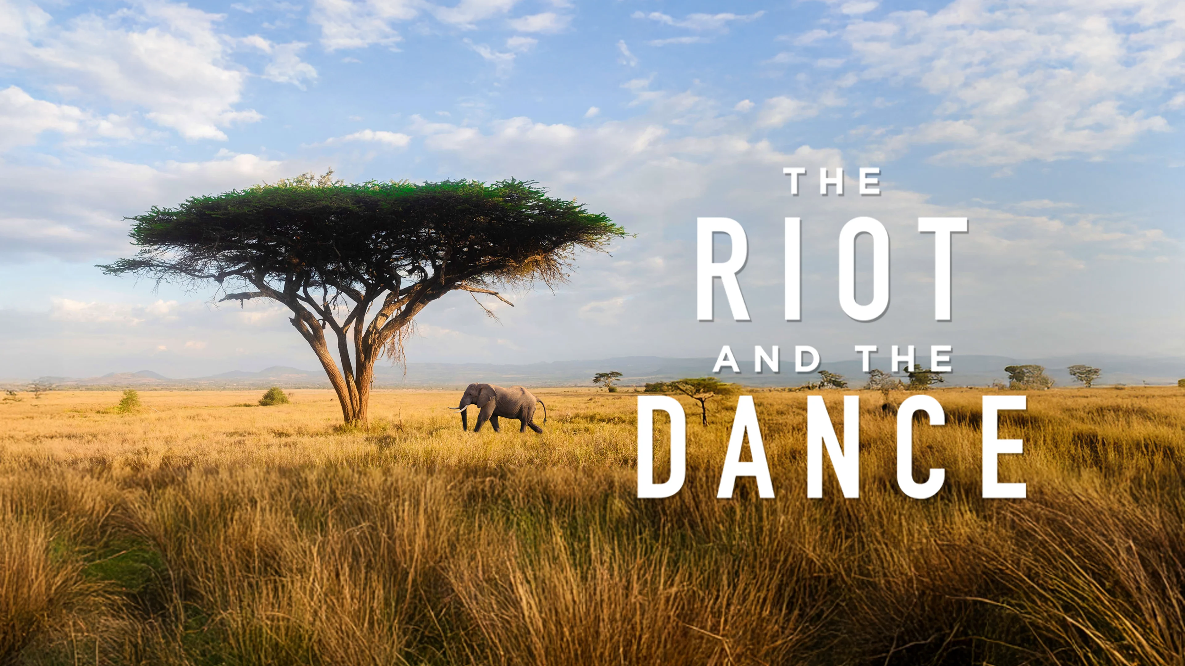 The Riot and the Dance poster