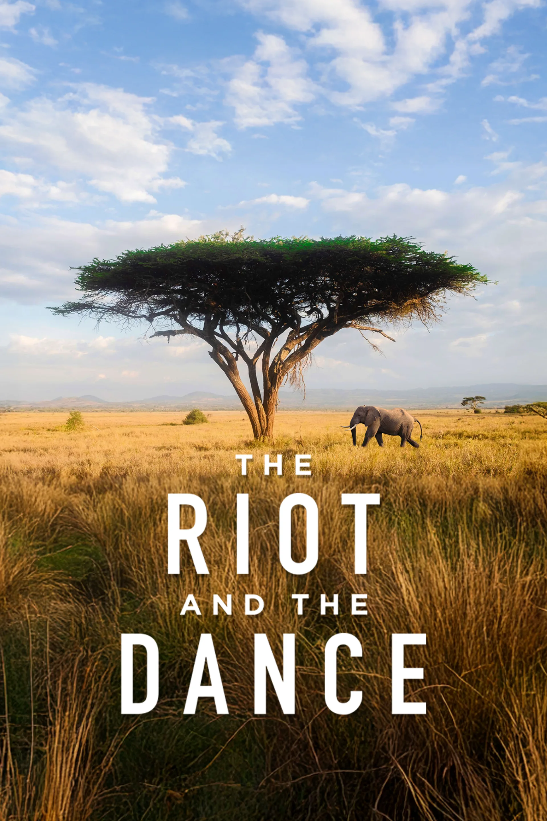 The Riot and the Dance poster