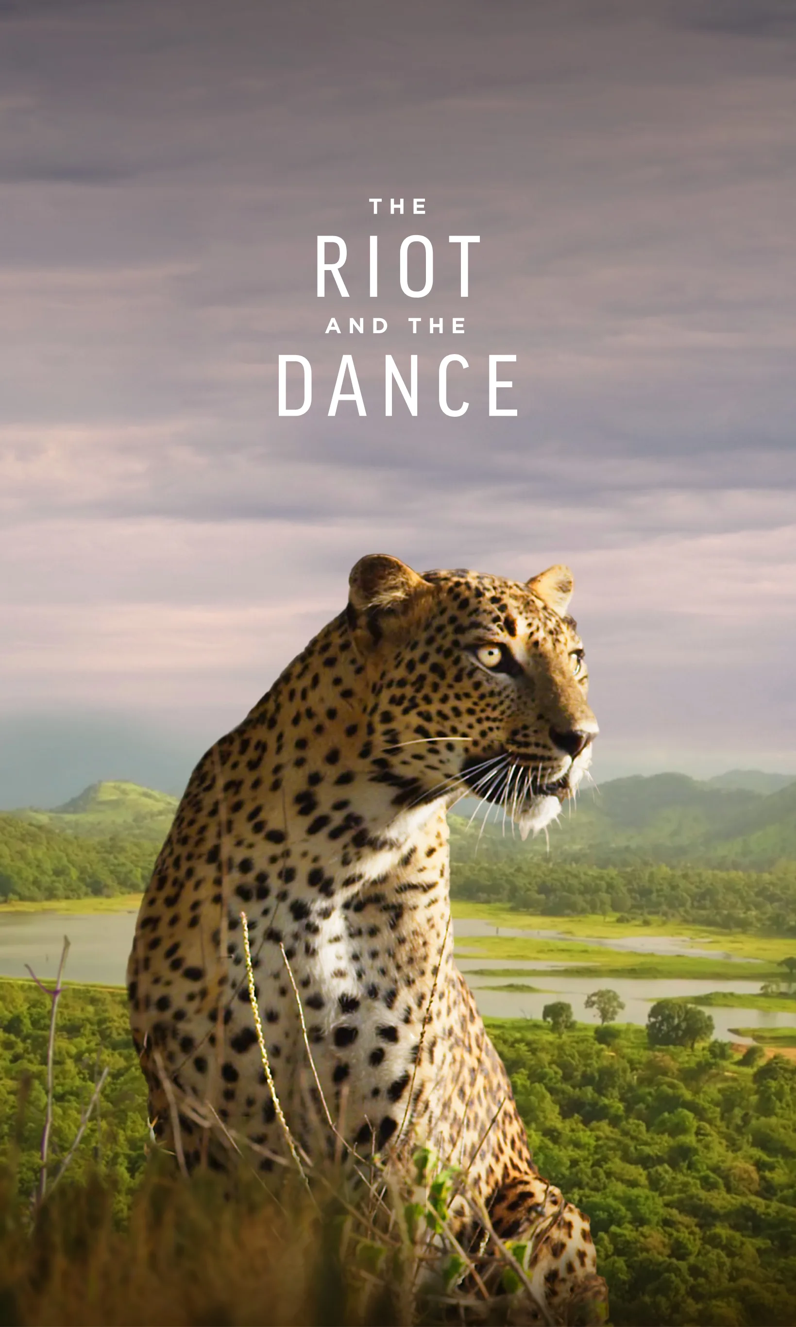 The Riot and the Dance: Water