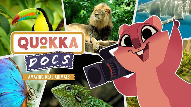Quokka Docs: Amazing Real Animals