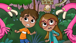 Episode 1: Needs, Rights and Flamingo Fights