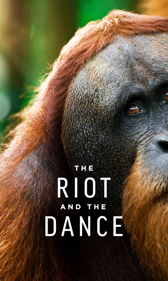 The Riot and the Dance