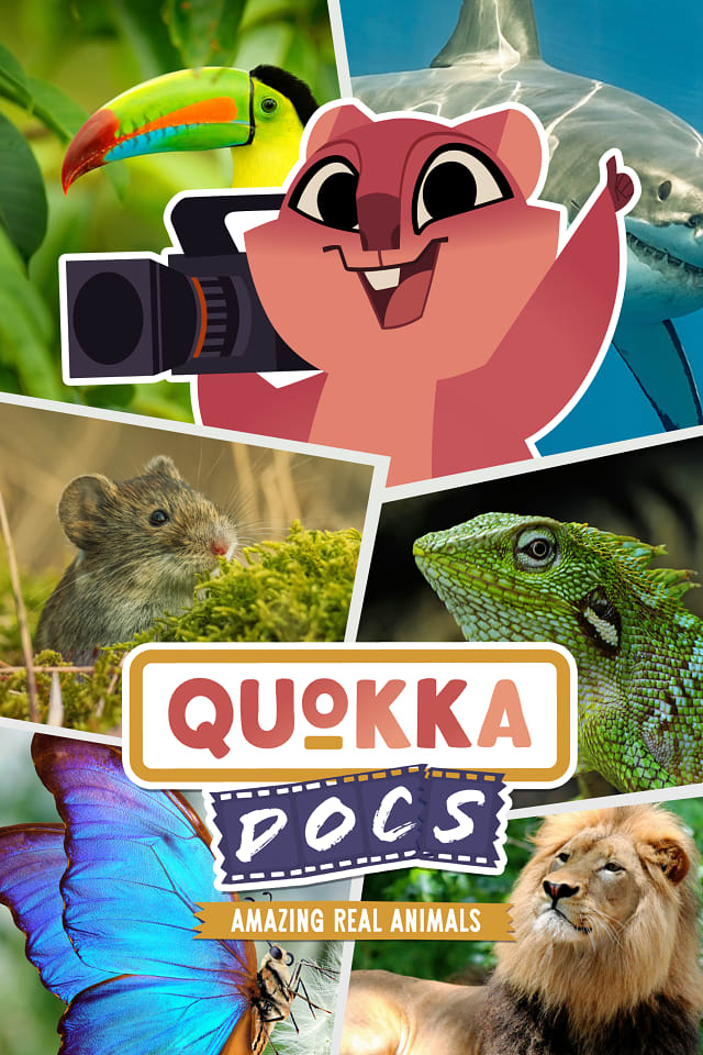 Quokka Docs: Amazing Real Animals