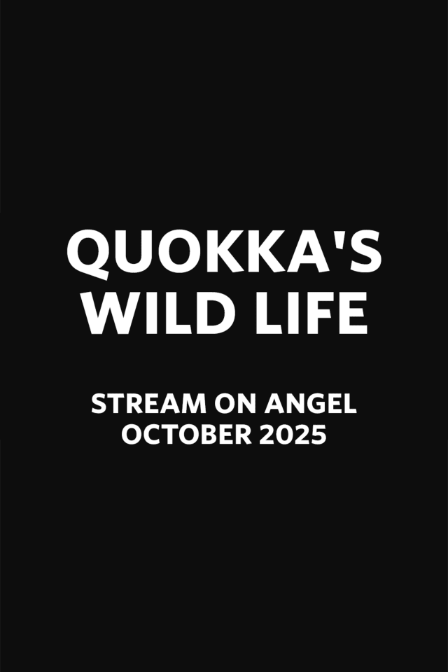 Link to content