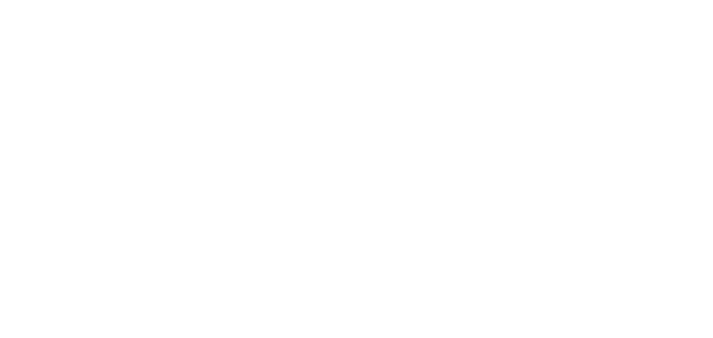 Brave the Dark
