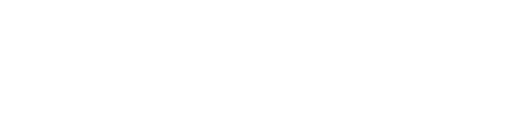 The Last Champion