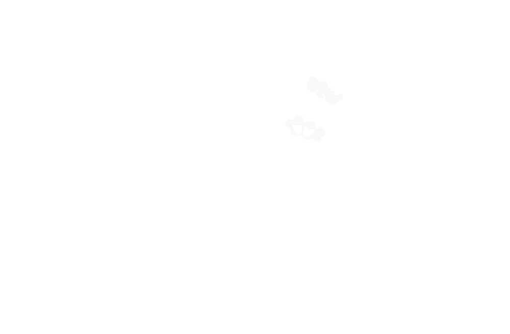 The Christmas King! A Garden Cartoon Holiday Movie!